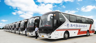 浙江外事旅游 大道无外,事行天下